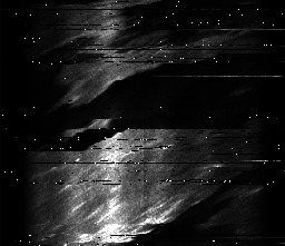 ascat_grayscale_ch6.png